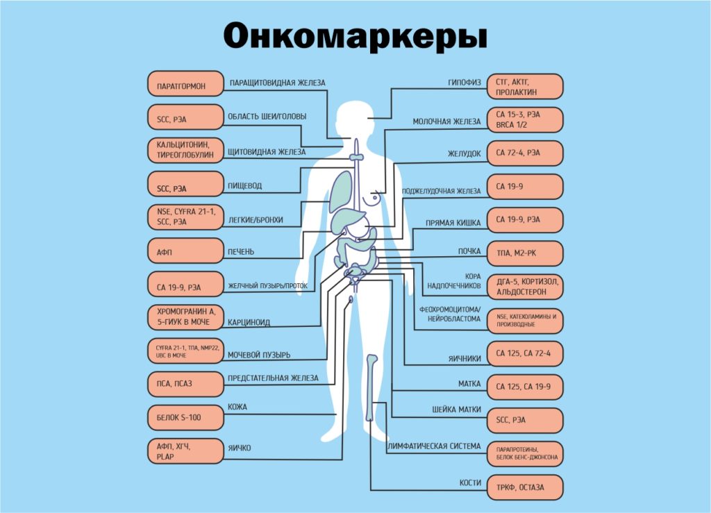 Онкомаркеры в разрезе органов тела